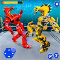 Real Snake Robot Ring Fighting
