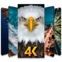 Wallpapers 4K Free on 9Apps