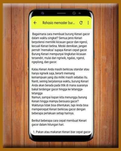 Masteran Kenari Ngerol Panjang MP3 1 تصوير الشاشة