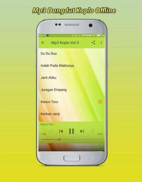 Mp3 Dangdut Koplo Offline screenshot 3