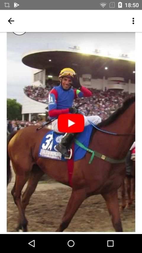 Horse Racing Latest News screenshot 3