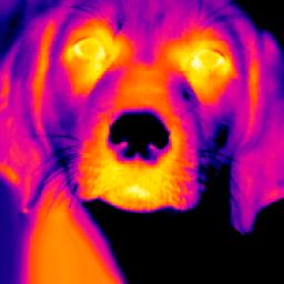 ikon Camera Filter Effect: Flashlight