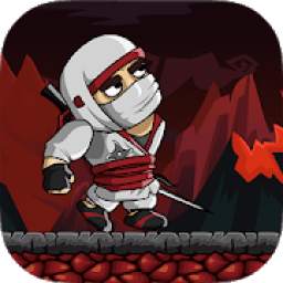 Ninja Warrior - Shadow Adventure