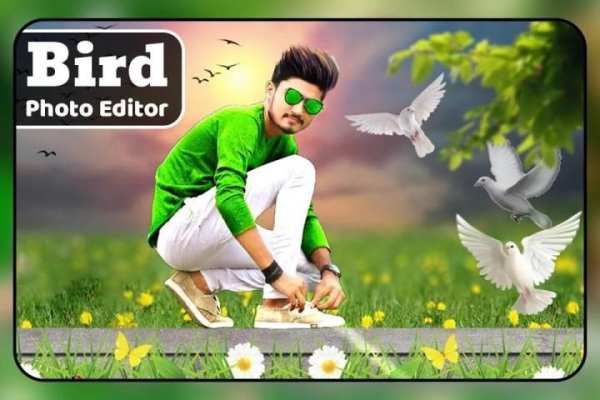 Bird Photo Editor screenshot 4