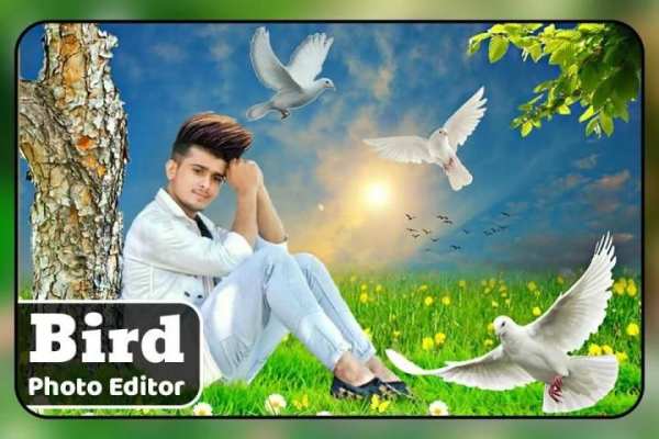 Bird Photo Editor screenshot 3