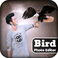 Bird Photo Editor
