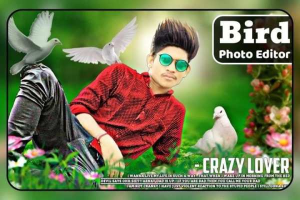 Bird Photo Editor screenshot 5