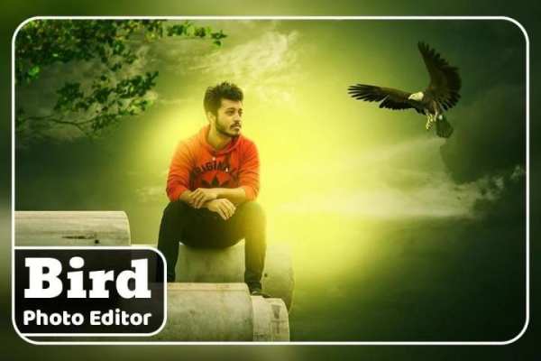 Bird Photo Editor screenshot 1