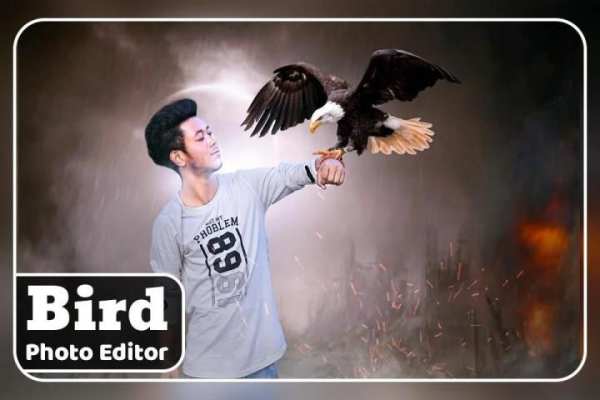 Bird Photo Editor screenshot 2