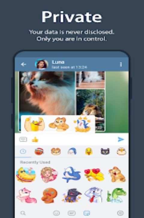 Messenger Plus 2020 screenshot 5
