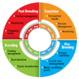 ikon BLRI Breeding Manager