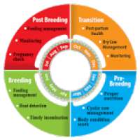 BLRI Breeding Manager