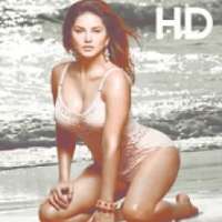 Hot Sunny Leones Wallpapers | HD Wallpapers