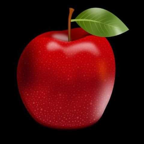 Pomme App screenshot 1