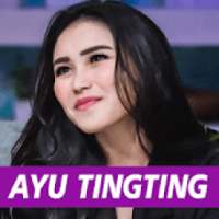 Album Ayu Ting Ting & Friends Terlengkap