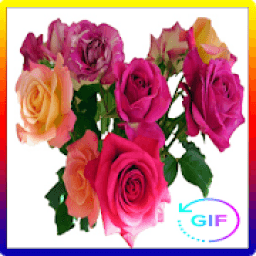 Wonderful Flowers and Roses images Gif أيقونة