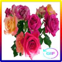 Wonderful Flowers and Roses images Gif on 9Apps