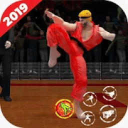 ikon Shadow Kicks Fight 2019: Kung Fu Master