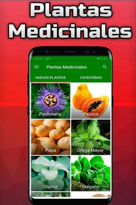 Plantas Medicinales y Sus Usos Gratis screenshot 8