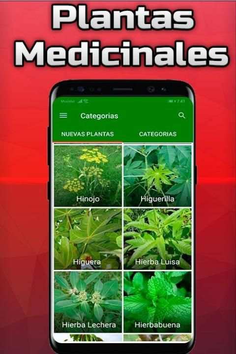 Plantas Medicinales y Sus Usos Gratis screenshot 5