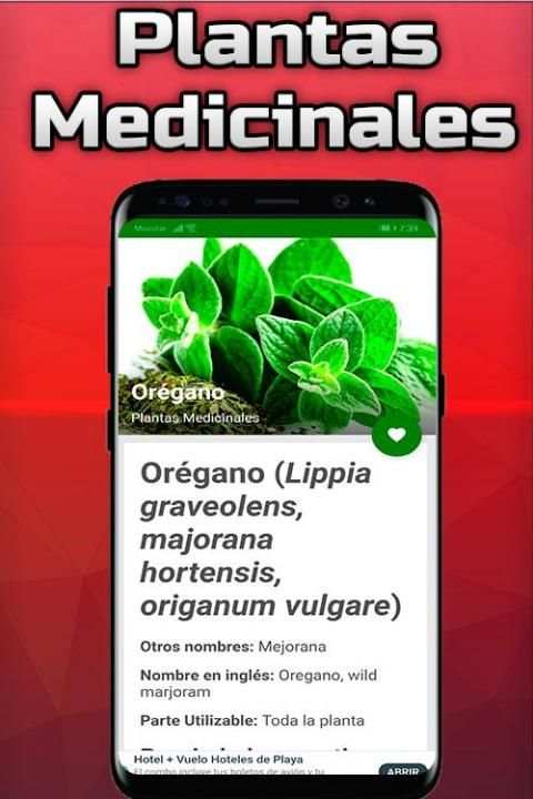 Plantas Medicinales y Sus Usos Gratis screenshot 4