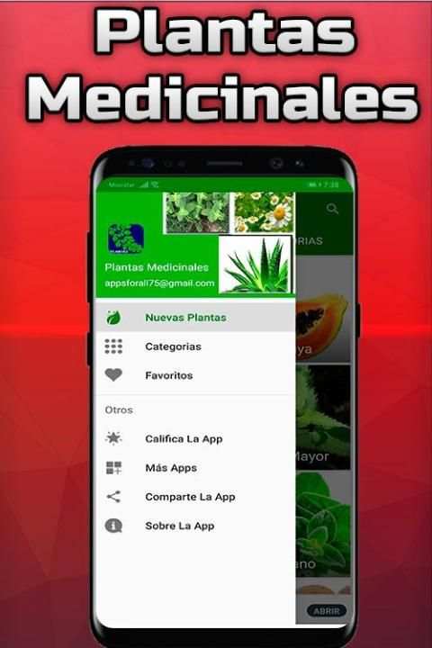 Plantas Medicinales y Sus Usos Gratis screenshot 7