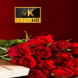 ikon Rose Flower 3D Wallpaper