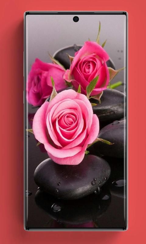 Rose Flower 3D Wallpaper screenshot 5