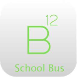 B12 School Bus