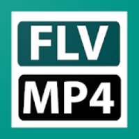 FLV To MP4 Converter on 9Apps