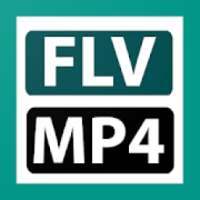 FLV To MP4 Converter