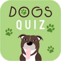 Dogs Quiz - Guess The Dog Breeds