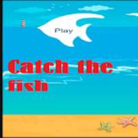 Catch the fish