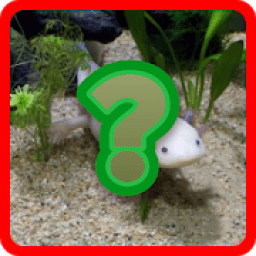 adivina el animal icon