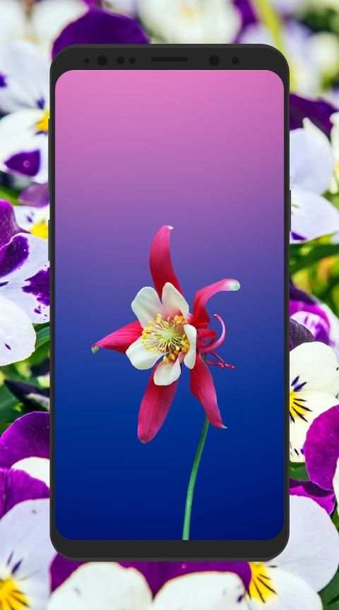 HD 3D Flower Wallpapers 4K background स्क्रीनशॉट 9
