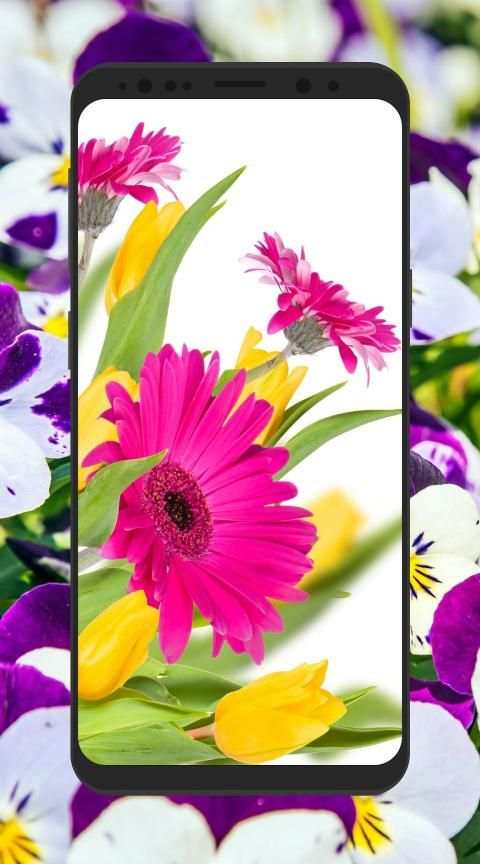 HD 3D Flower Wallpapers 4K background स्क्रीनशॉट 7