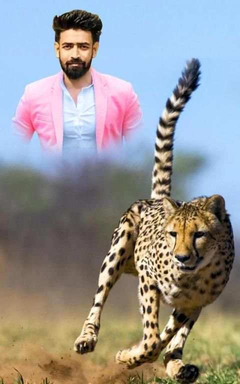 Wild Animal Photo Frames and Photo Editor screenshot 2