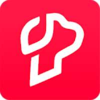 Petlur - Pet Social Media