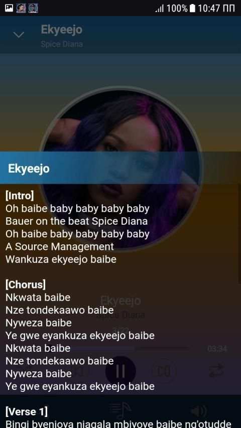 Spice Diana songs offline screenshot 6