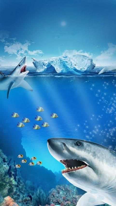 Shark Hunt Revolution – Run to Survival screenshot 1