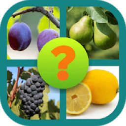 Угадай фрукт! icon
