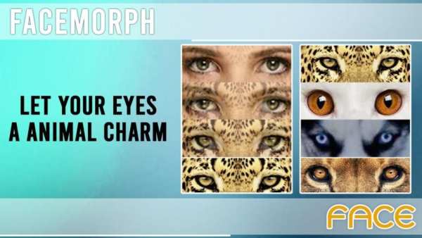 Face Morphing screenshot 3