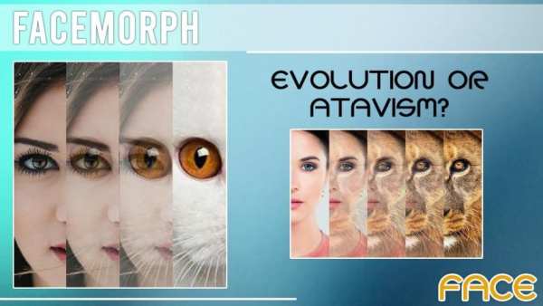 Face Morphing screenshot 2