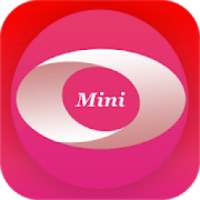 Fast Mini Web BrowserTips..