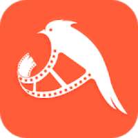 TikTik - Short Video Maker logo