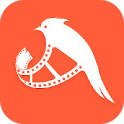 TikTik - Short Video Maker 1.1