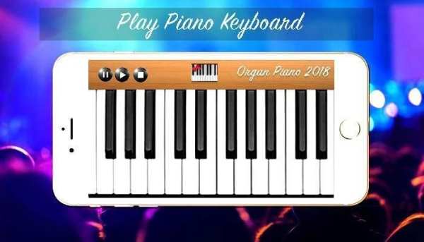 Organ Piano 2020 screenshot 4