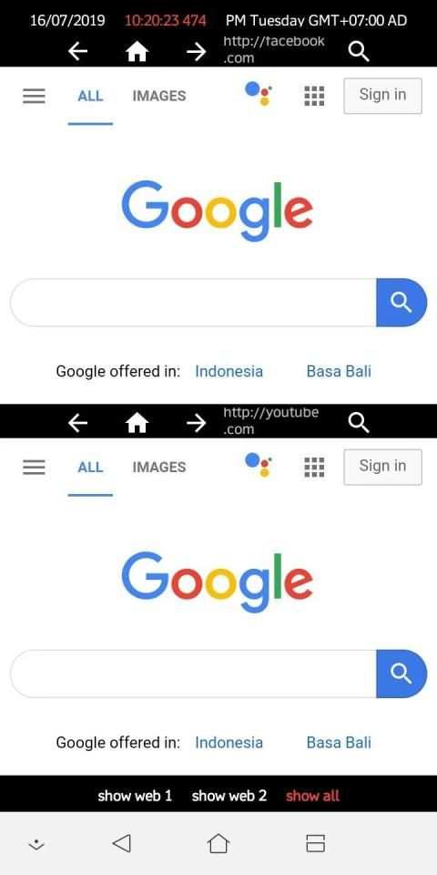 Dual Web Browser screenshot 1