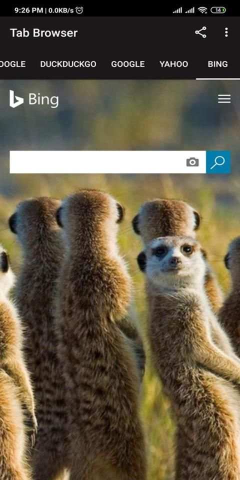 Tab Browser screenshot 2