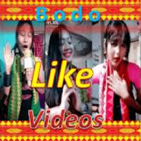 Bodo Like Videos
